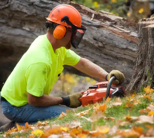 tree services Williamsport